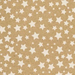 BOBINA PAPEL REGALO 31CM / 62CM